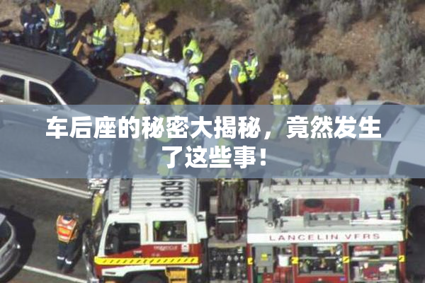 车后座的秘密大揭秘，竟然发生了这些事！