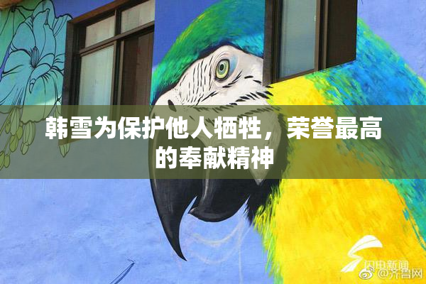 韩雪为保护他人牺牲，荣誉最高的奉献精神