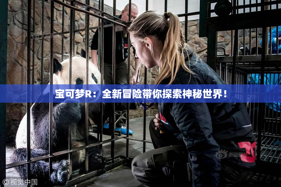 宝可梦R：全新冒险带你探索神秘世界！