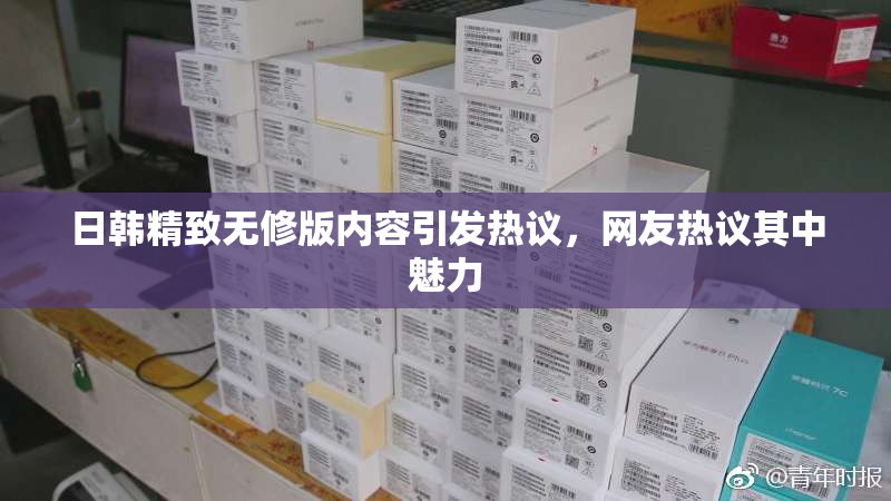 日韩精致无修版内容引发热议，网友热议其中魅力