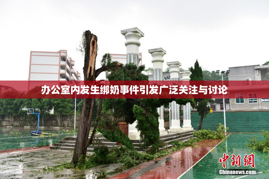 办公室内发生绑奶事件引发广泛关注与讨论