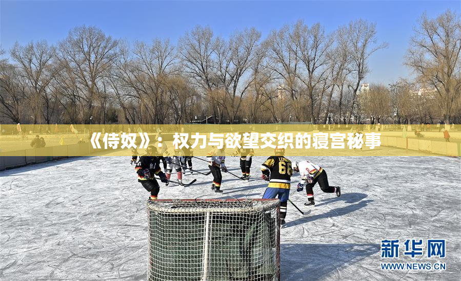 《侍奴》：权力与欲望交织的寝宫秘事