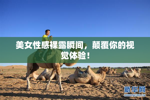 美女性感裸露瞬间，颠覆你的视觉体验！