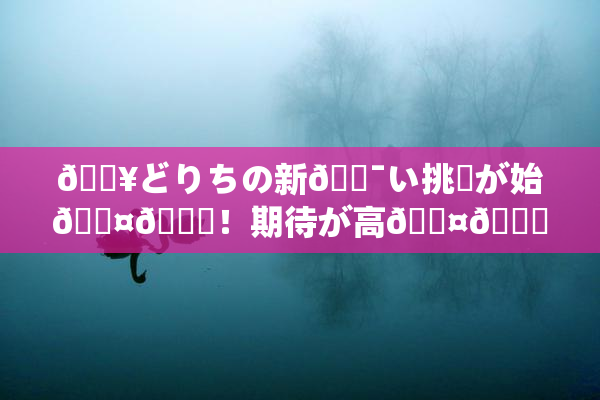 🔥どりちの新🔯い挑戦が始🖤🌃！期待が高🖤🌃展開