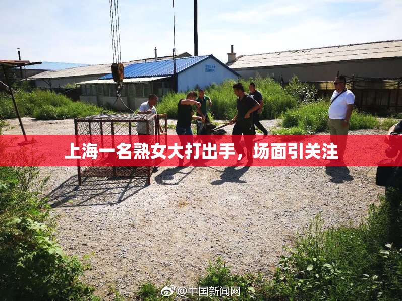 上海一名熟女大打出手，场面引关注