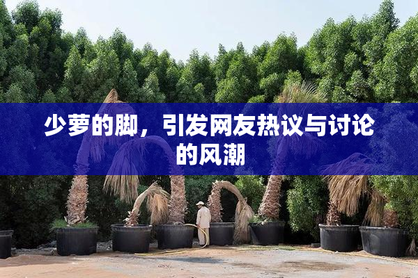 少萝的脚，引发网友热议与讨论的风潮