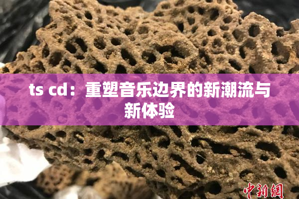 ts cd：重塑音乐边界的新潮流与新体验