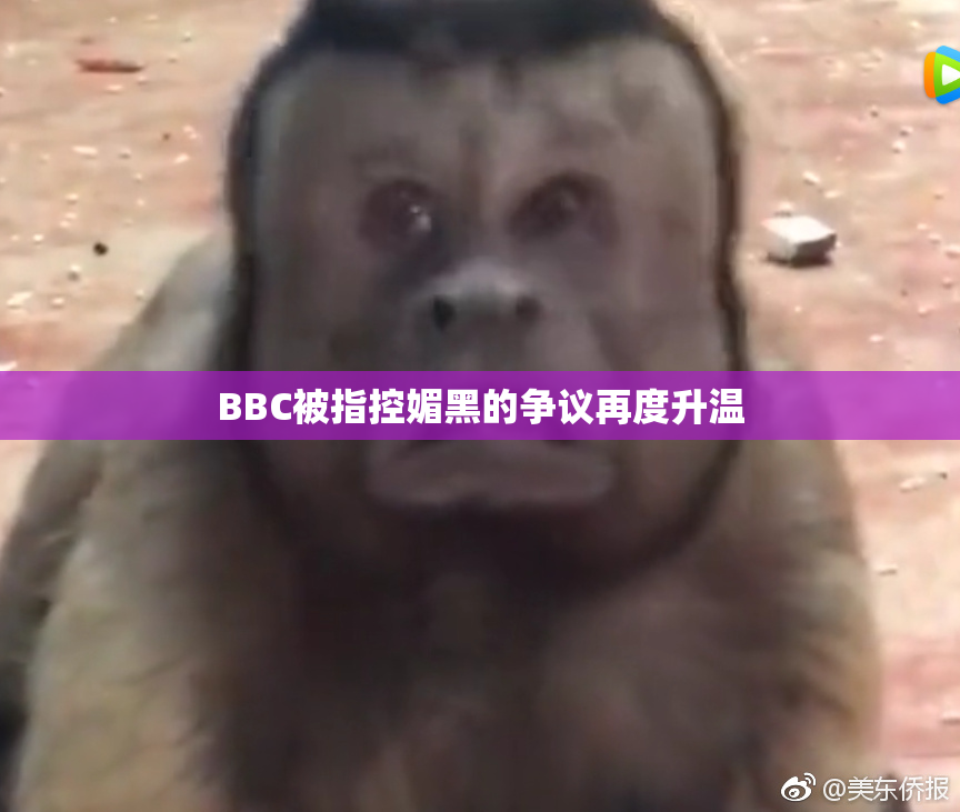 BBC被指控媚黑的争议再度升温