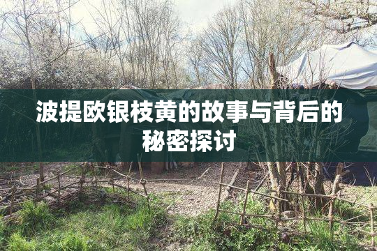 波提欧银枝黄的故事与背后的秘密探讨