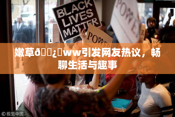 嫩草🌿‌ww引发网友热议，畅聊生活与趣事