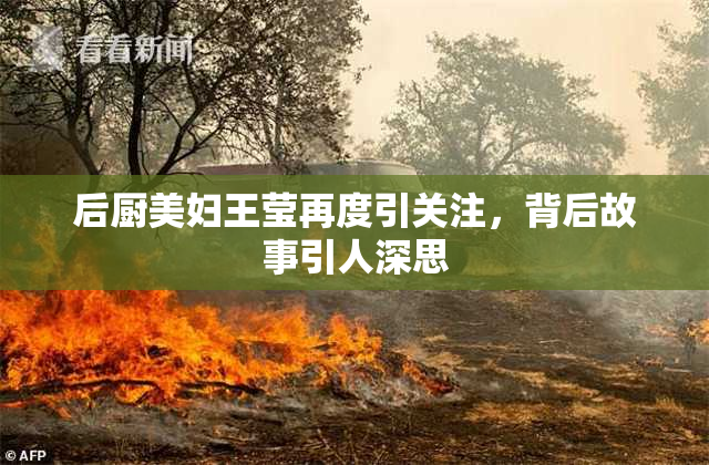 后厨美妇王莹再度引关注，背后故事引人深思