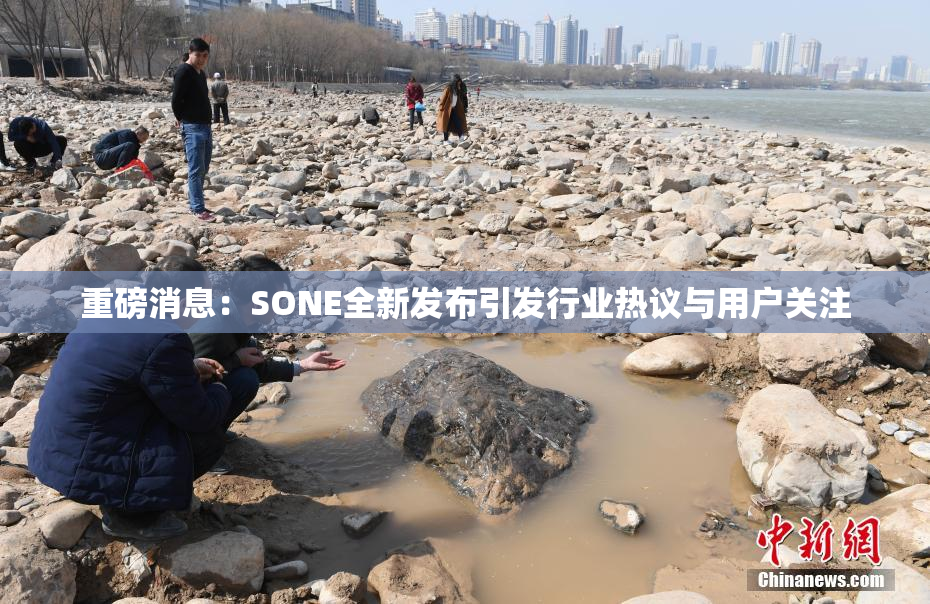 重磅消息：SONE全新发布引发行业热议与用户关注