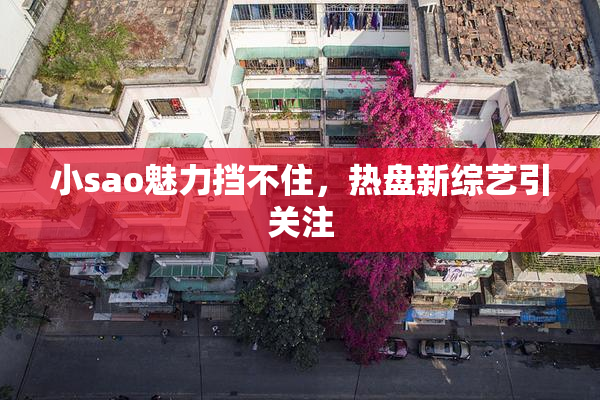 小sao魅力挡不住，热盘新综艺引关注