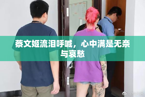 蔡文姬流泪呼喊，心中满是无奈与哀愁