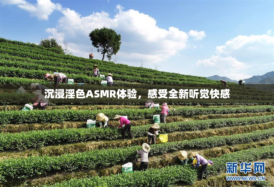 沉浸淫色ASMR体验，感受全新听觉快感