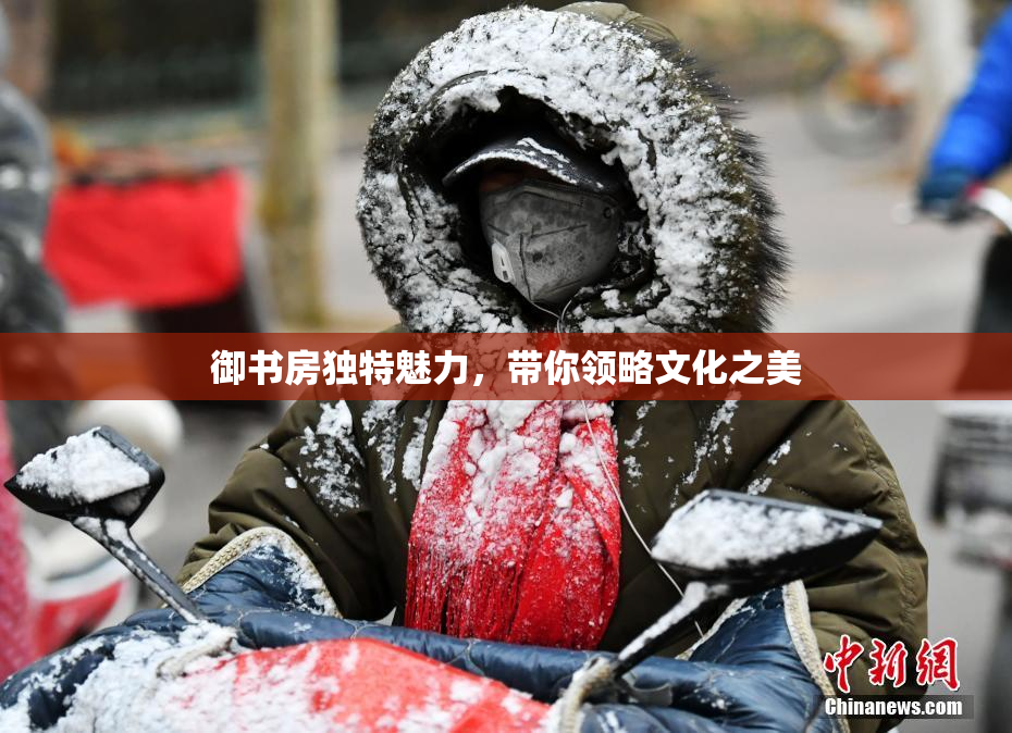 御书房独特魅力，带你领略文化之美