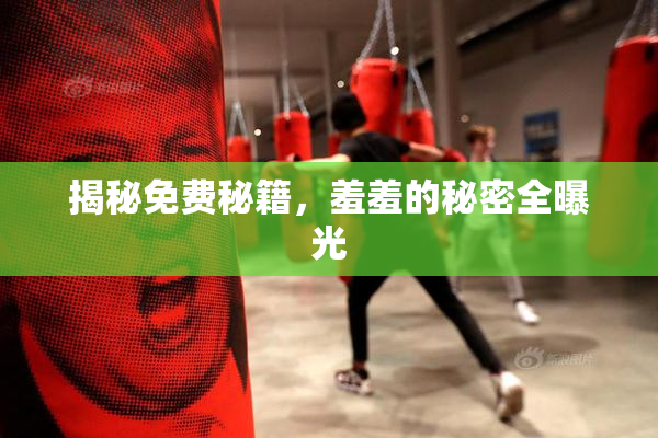 揭秘免费秘籍，羞羞的秘密全曝光
