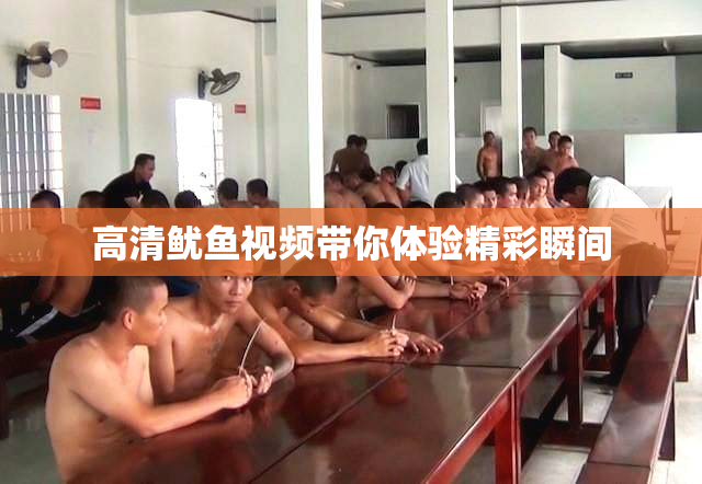 高清鱿鱼视频带你体验精彩瞬间