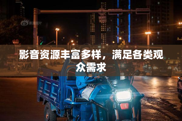 影音资源丰富多样，满足各类观众需求
