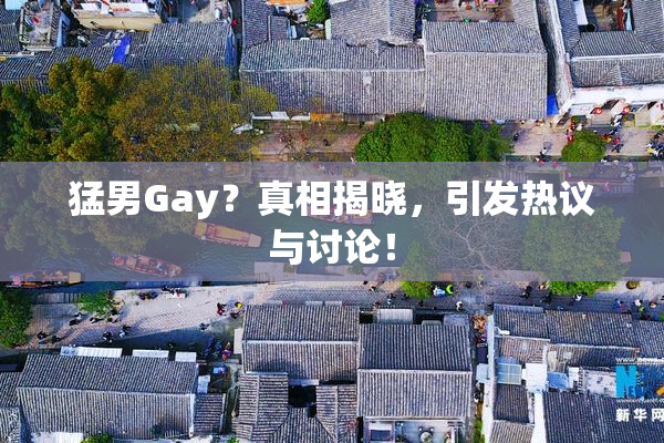猛男Gay？真相揭晓，引发热议与讨论！