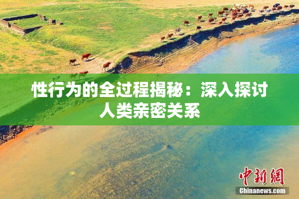 性行为的全过程揭秘：深入探讨人类亲密关系