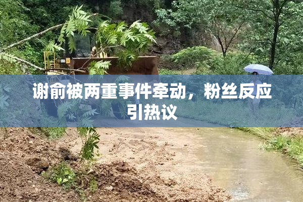 谢俞被两重事件牵动，粉丝反应引热议