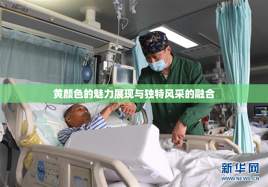 黄颜色的魅力展现与独特风采的融合
