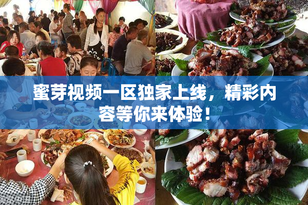 蜜芽视频一区独家上线，精彩内容等你来体验！