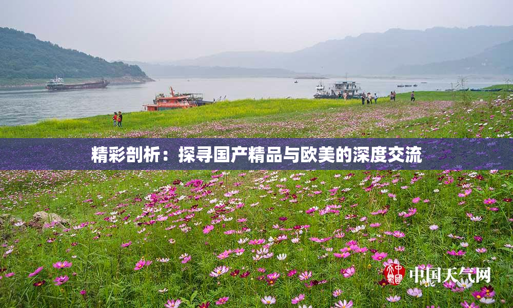 精彩剖析：探寻国产精品与欧美的深度交流