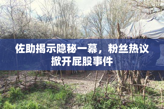 佐助揭示隐秘一幕，粉丝热议掀开屁股事件