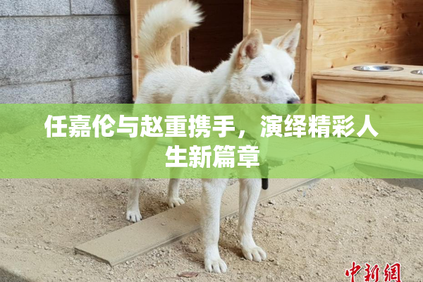 任嘉伦与赵重携手，演绎精彩人生新篇章
