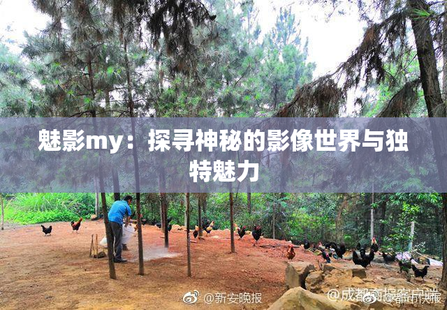 魅影my：探寻神秘的影像世界与独特魅力