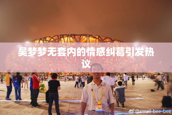 吴梦梦无套内的情感纠葛引发热议