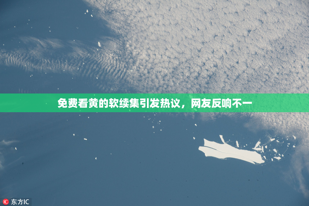 免费看黄的软续集引发热议，网友反响不一