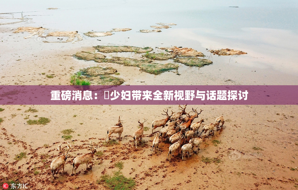 重磅消息：夲少妇带来全新视野与话题探讨