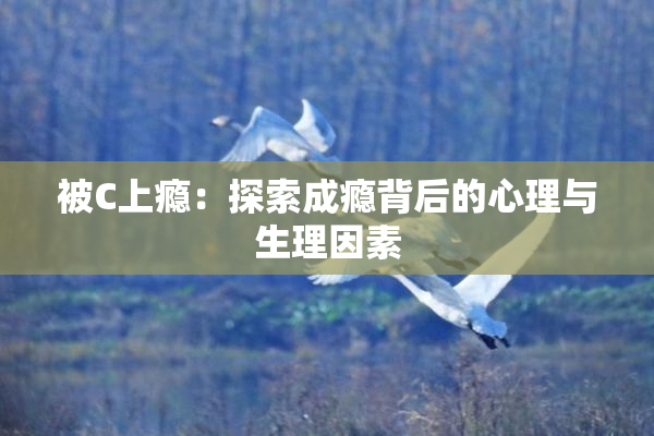 被C上瘾：探索成瘾背后的心理与生理因素