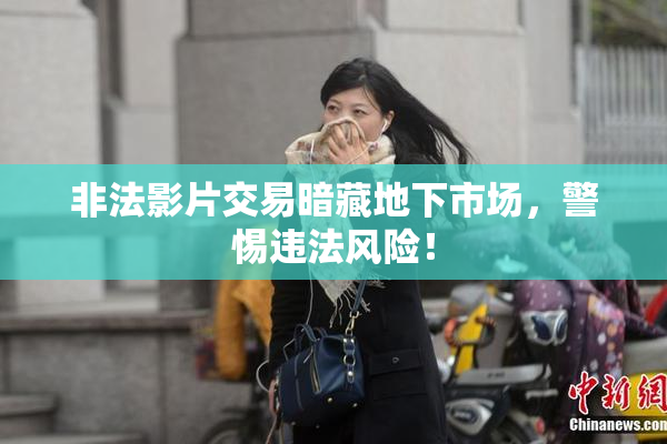 非法影片交易暗藏地下市场，警惕违法风险！