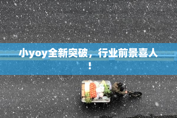 小yoy全新突破，行业前景喜人！