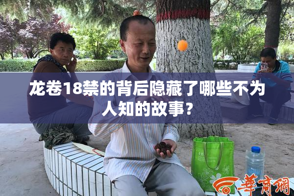 龙卷18禁的背后隐藏了哪些不为人知的故事？