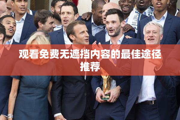 观看免费无遮挡内容的最佳途径推荐