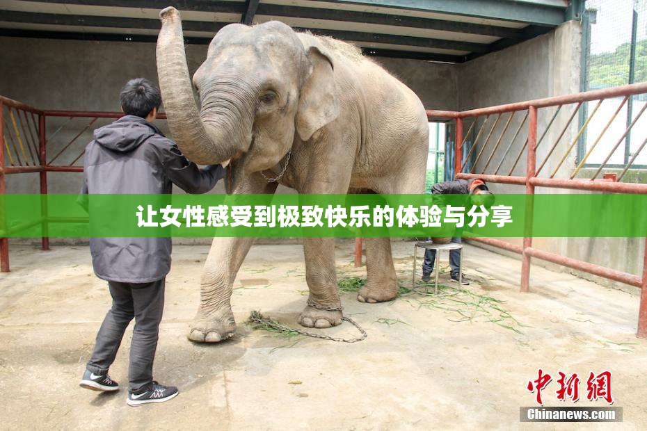 让女性感受到极致快乐的体验与分享