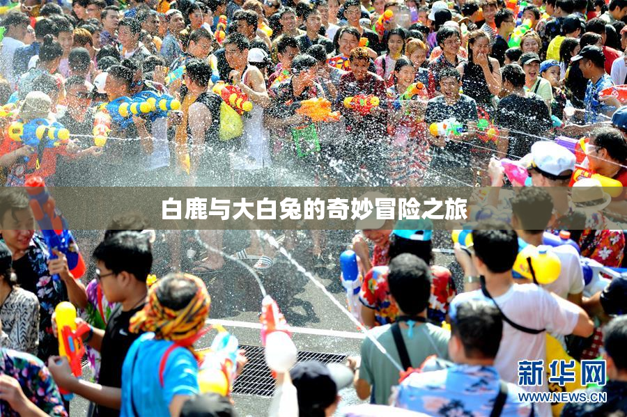 白鹿与大白兔的奇妙冒险之旅