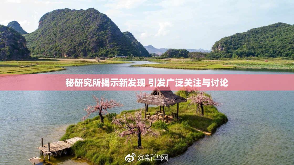 秘研究所揭示新发现 引发广泛关注与讨论