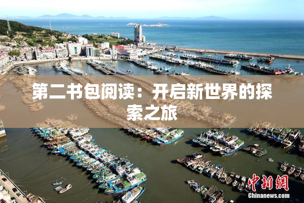 第二书包阅读：开启新世界的探索之旅