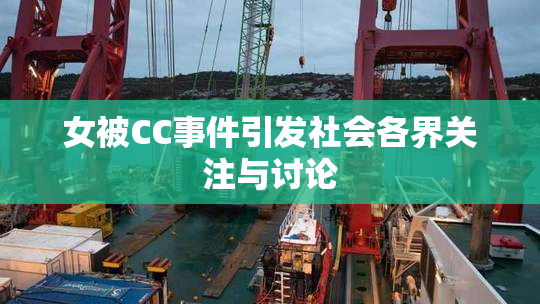 女被CC事件引发社会各界关注与讨论