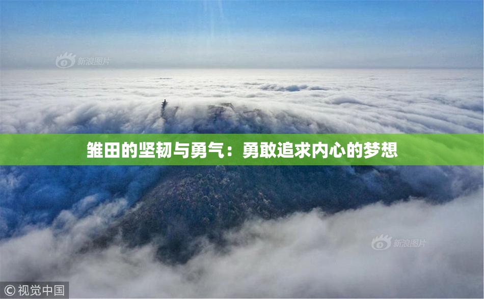 雏田的坚韧与勇气：勇敢追求内心的梦想