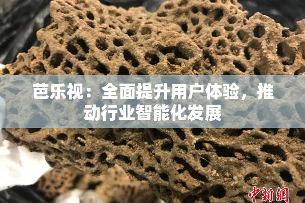 芭乐视：全面提升用户体验，推动行业智能化发展