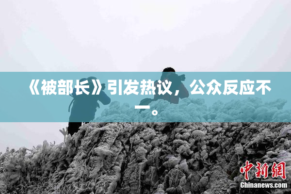 《被部长》引发热议，公众反应不一。