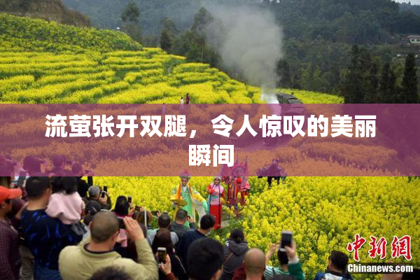 流萤张开双腿，令人惊叹的美丽瞬间