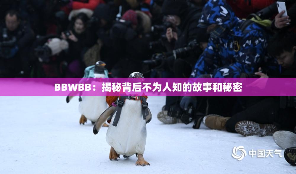 BBWBB：揭秘背后不为人知的故事和秘密